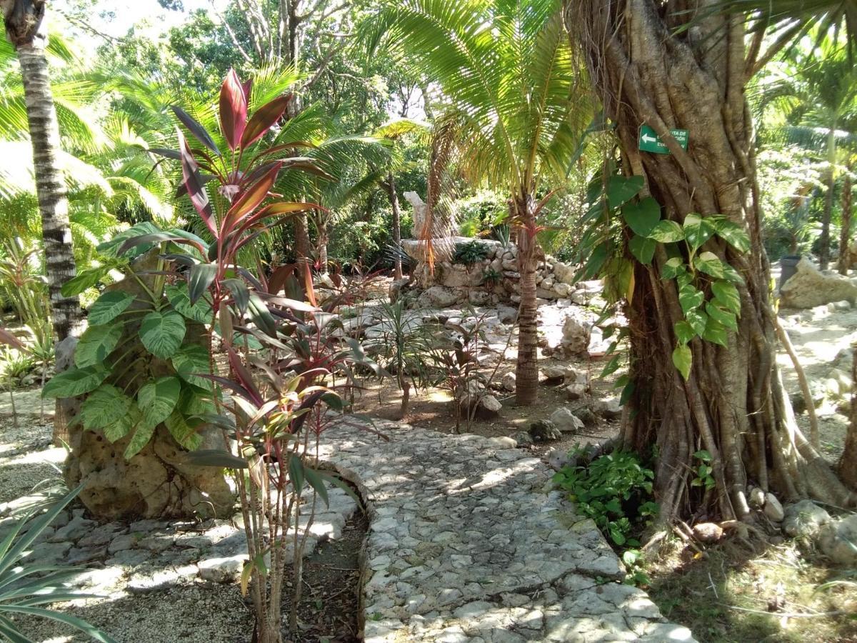 Villa Tortugas Akumal Exteriör bild